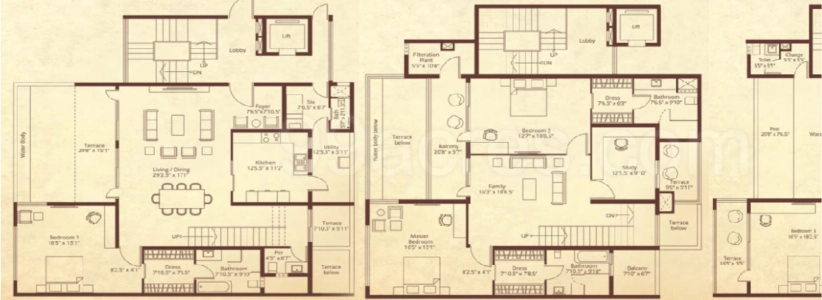 Embassy Grove Floor Plan - 4850 sq.ft. 